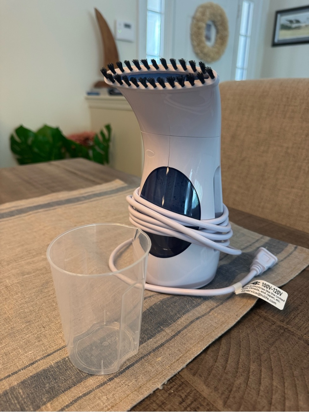 Garment Steamer